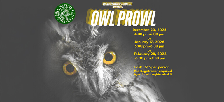 Owl Prowl